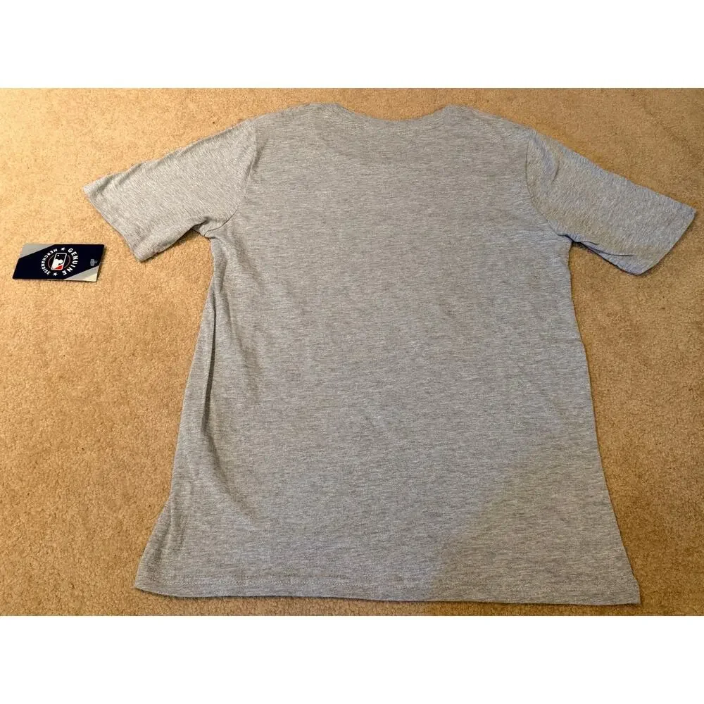 MLB Chicago Cubs Youth Boys Gray Short Sleeve Graphic T-Shirt Size L 14/16 NWT